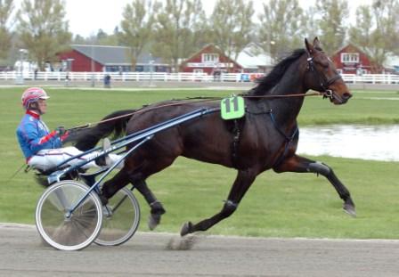 Morten Waage-tränade Beanie M.M. blir tillsammans med Torbjörn Jansson svårstoppad i V75-7. Foto: Claes Kärrstrand. Morten Waage-tränade Beanie M.M. blir tillsammans med Torbjörn Jansson svårstoppad i V75-7. Foto: Claes Kärrstrand.