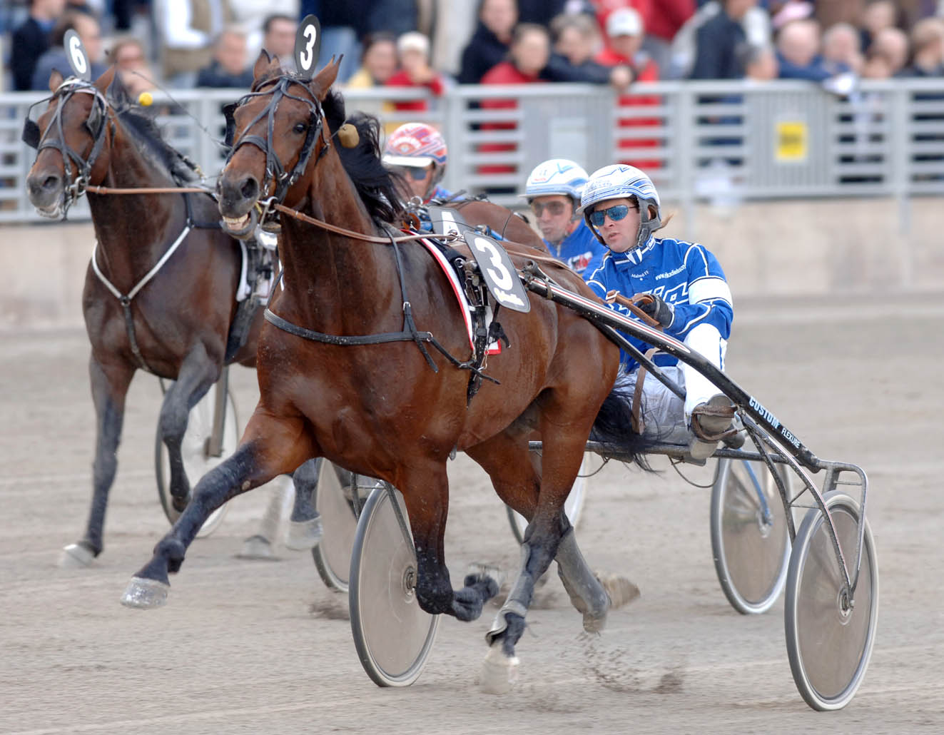 Erik Adielsson har firat fina framgångar i sulkyn bakom Dumle Loss. Det är också Adielsson som kör i V75 på lördag. Foto: Thomas Blomqvi Erik Adielsson har firat fina framgångar i sulkyn bakom Dumle Loss. Det är också Adielsson som kör i V75 på lördag. Foto: Thomas Blomqvi