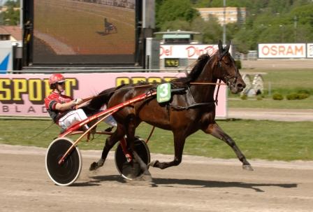 Världsrekordhästen Giant Diablo och kusken Johan Untersteiner siktar mot Elitloppet. Foto: Lars Jakobsson