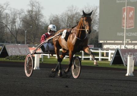 Blir det Prix d'Amerique för Going Kronos? Lutfi Kolgjini har i alla fall preliminäranmält sin häst till det stora slaget på söndag med en miljon euro i prispengar. Foto: Thomas Blomqvis