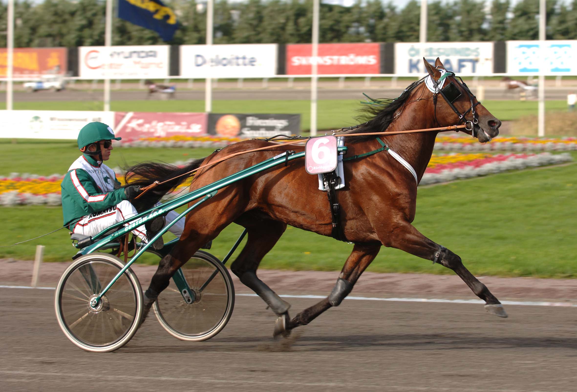 Jocose fråntas segern i Europaderbyt efter att ha fastnat i ett dopningstest. Foto: Lars Jakobsson. Jocose fråntas segern i Europaderbyt efter att ha fastnat i ett dopningstest. Foto: Lars Jakobsson.