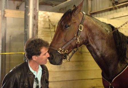 Lutfi Kolgjini kelar med sin världsstjärna Going Kronos. På söndag väntar Prix de Belgique på Vincennes-banan i Paris. Foto: Lars Jakobsson. Lutfi Kolgjini kelar med sin världsstjärna Going Kronos. På söndag väntar Prix de Belgique på Vincennes-banan i Paris. Foto: Lars Jakobsson.