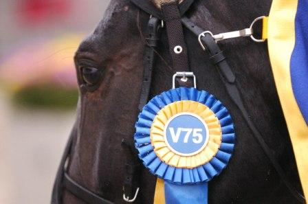 Opal Viking gör ett av få framtränanden på V75 i Olympiatravet på lördag. Foto: Thomas Blomqvist Opal Viking gör ett av få framtränanden på V75 i Olympiatravet på lördag. Foto: Thomas Blomqvist