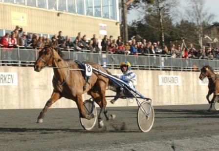 Senast de startade på V75 vann de överlägset. När V75 på söndag gästar Kalmartravet kan Mathias Blomqvist och Strong Boy D.E. ta en bejublad hemmaseger.  Foto: Maria Holmén.