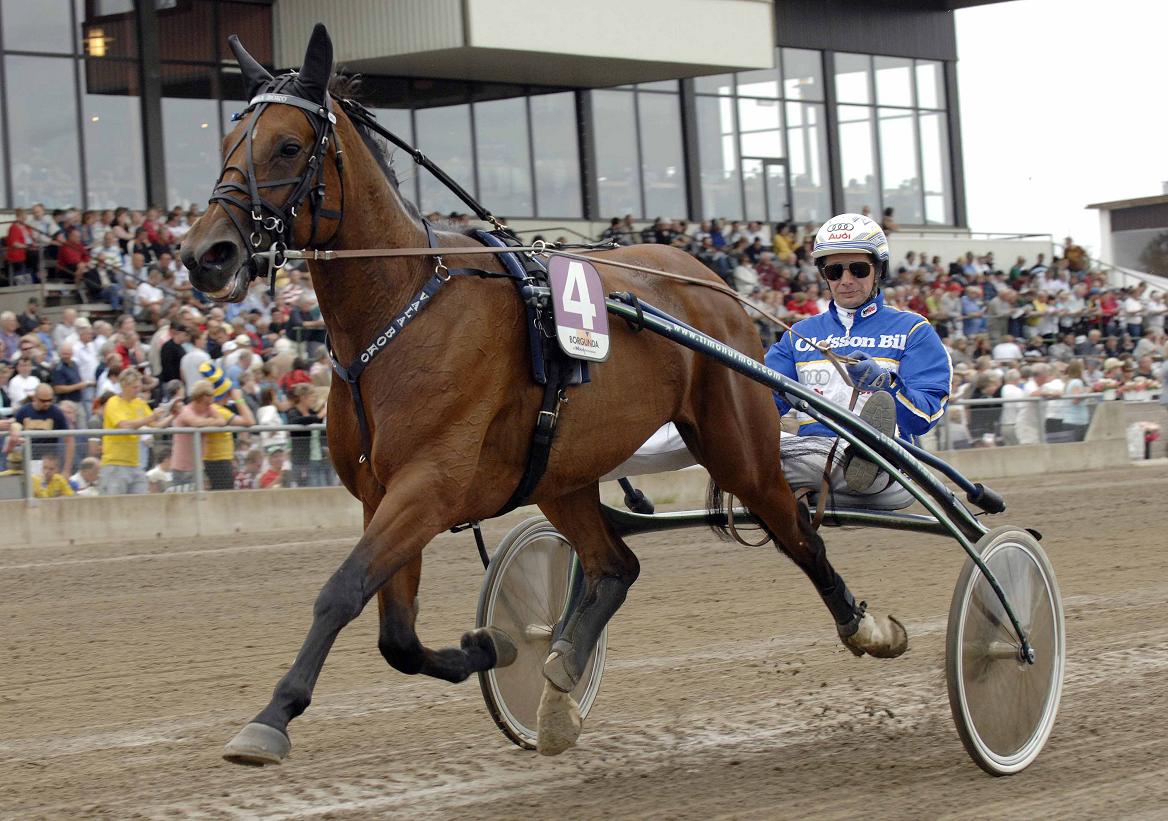 Kullens drottning Vala Boko och Jorma Kontio jagar stora pengar i Breeders´ Crown-finalen. Foto: Claes Kärrstrand