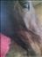 emeliee-
